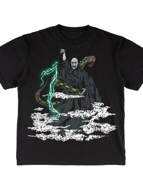 Harry Potter X Welcome Voldemort Boxy Garment Dyed Tee
